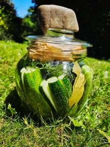 Legfrissebb bejegyzés a ComeWithMe instagram oldalán