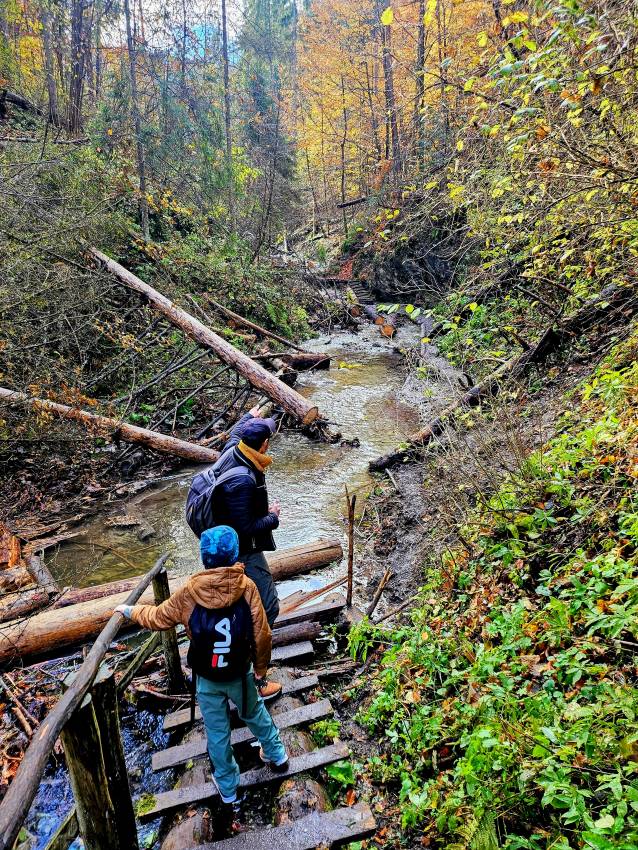Suchá Belá első szakasza