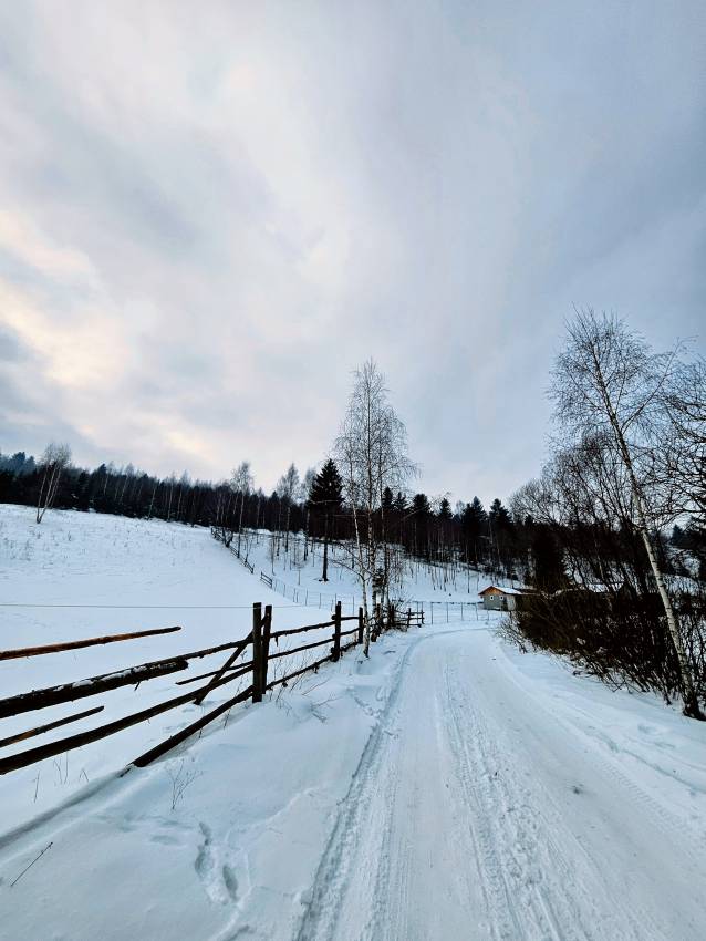Hófödte táj és gerendaház a téli Erdélyben