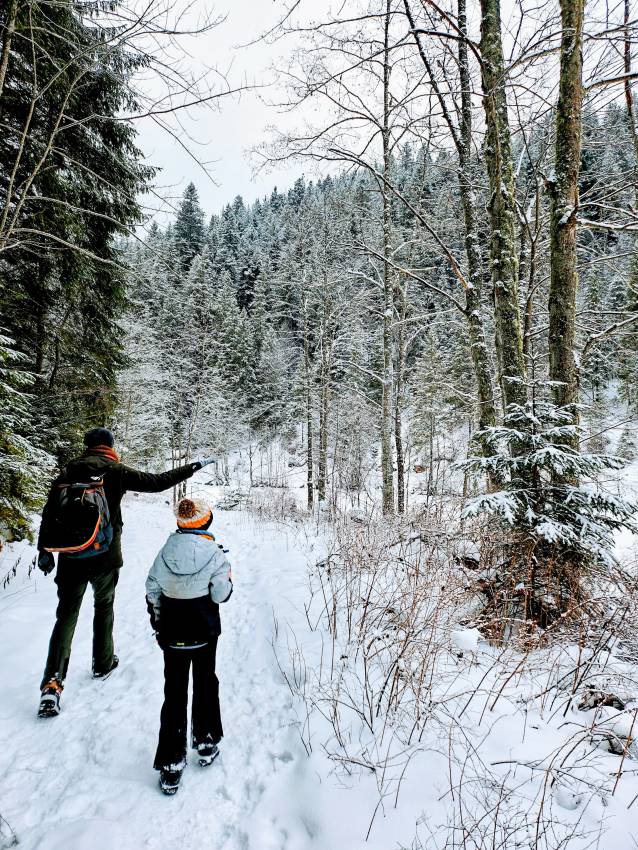 Séta a bahavazott, jeges Gyilkos-tó körül