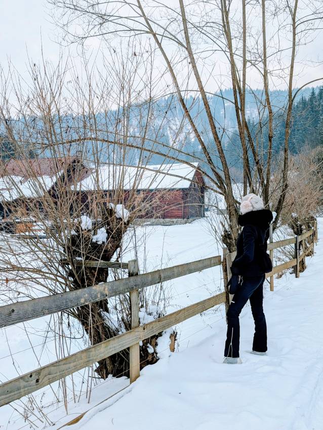 Séta a havas erdélyi tájon